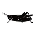 Insecticides