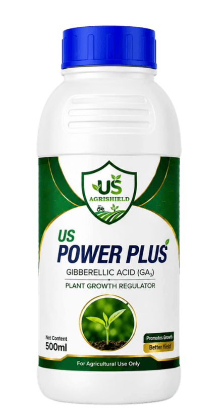 US Power Plus
