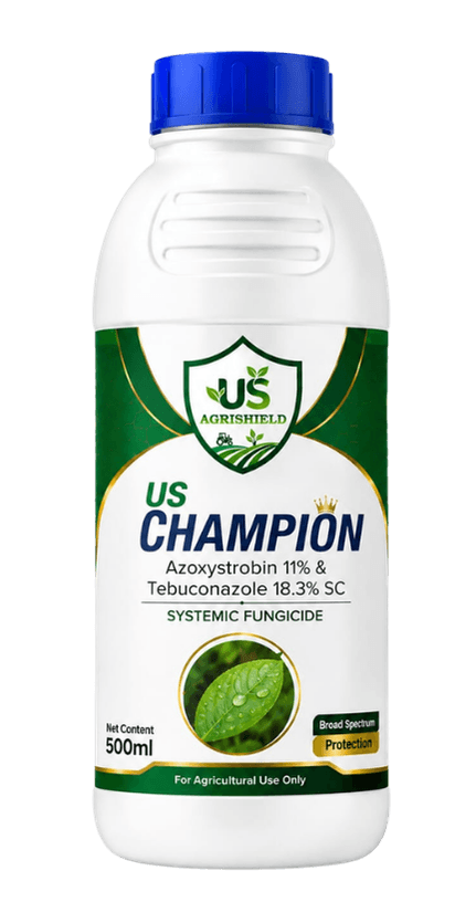 US Champion