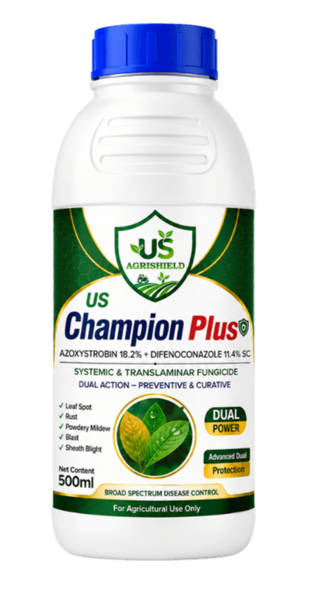 US Champion Plus