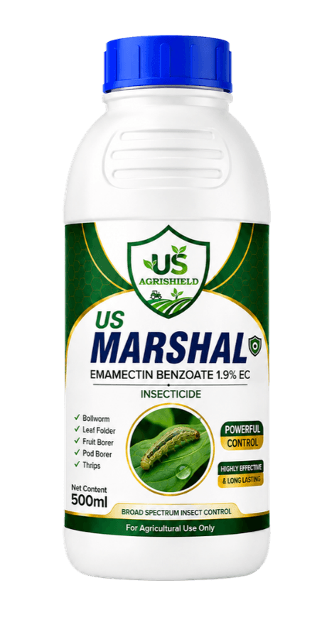 US Marshal