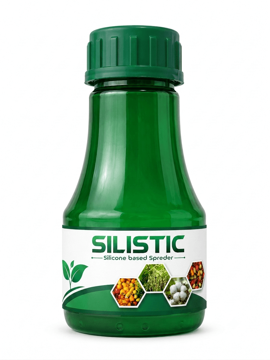 Silistic